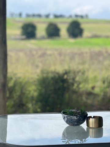 270d9431-8061-4b48-b5d1-dd8231581bb9