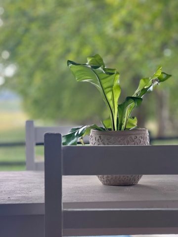 ab3a4634-aa8e-481e-8e54-8b6a59b9bc64